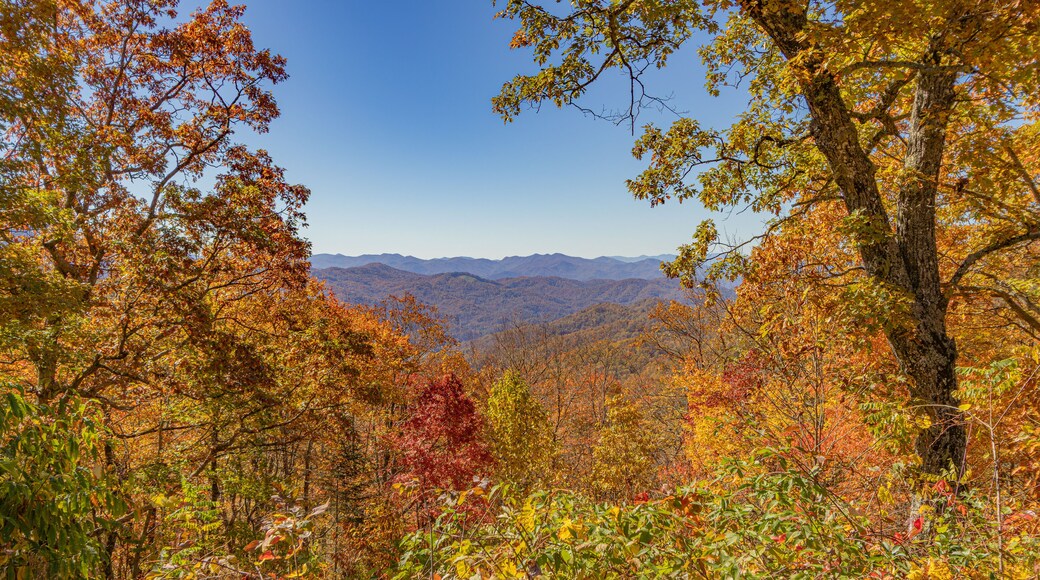 Autumn view from the Woodfin Valley Overlook on the Blue Ridge Parkway in western North Carolina