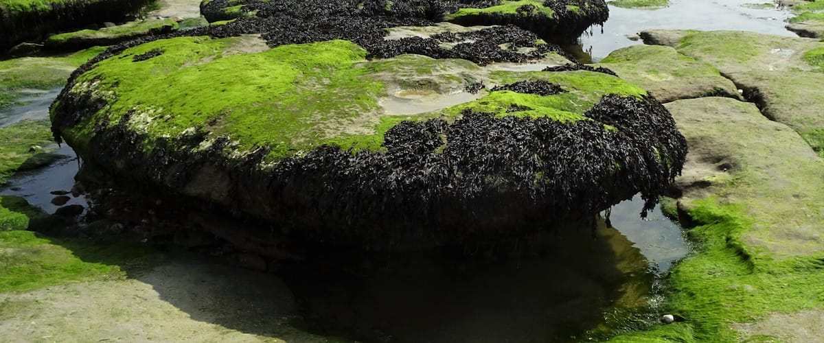 Walking on the "beach'" of Audresselles. #BeachTips #OpalCoast #LikeALocal #TroveOnTuesday