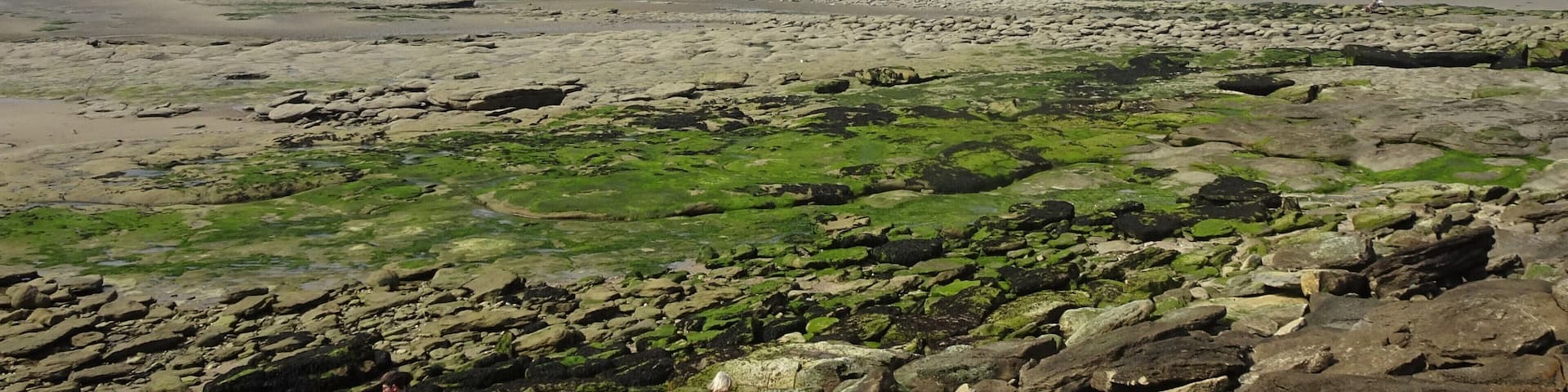 In the “Département Pas-de-Calais”, from Berck-sur-Mer to Calais, the Opal Coast offers 120 kilometres of sandy beaches, dunes, cliffs and wild coasts dotted with seaside resorts. #OpalCoast #BeachTips