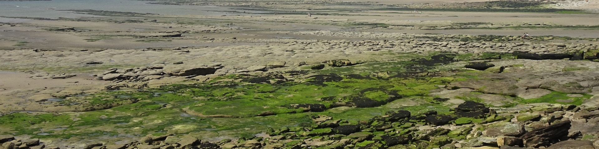 In the “Département Pas-de-Calais”, from Berck-sur-Mer to Calais, the Opal Coast offers 120 kilometres of sandy beaches, dunes, cliffs and wild coasts dotted with seaside resorts. #OpalCoast #BeachTips