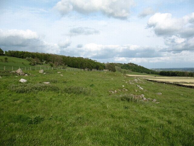 Old settlement site near Tullis Cote. This would appear to be an ancient settlement site, with what appear to be house platforms on this south facing slope.