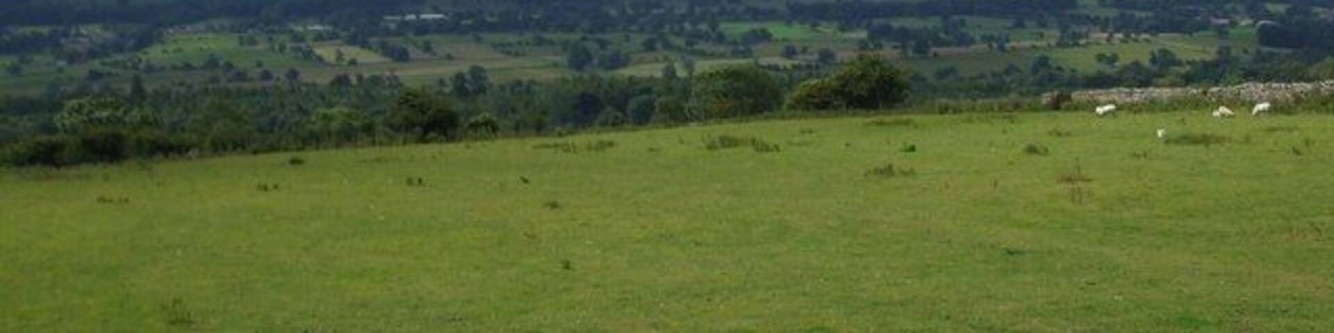 Fields towards West Wood