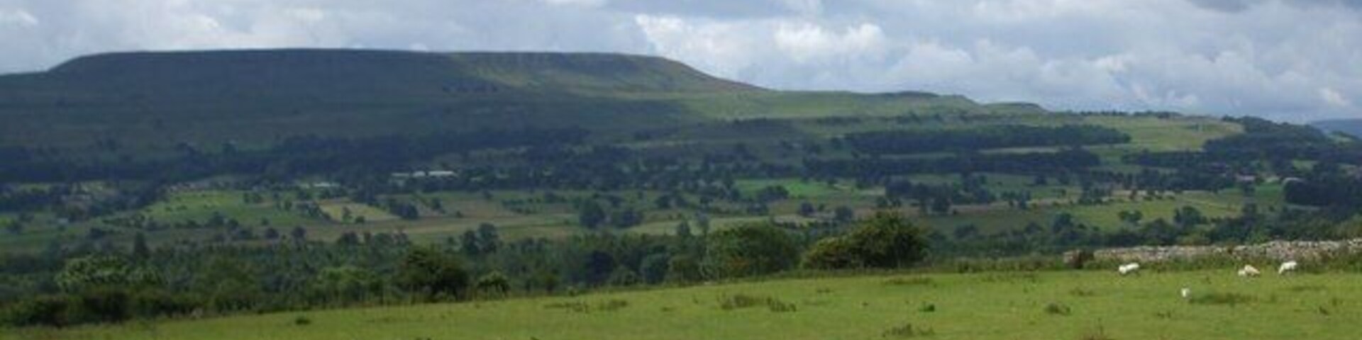 Fields towards West Wood