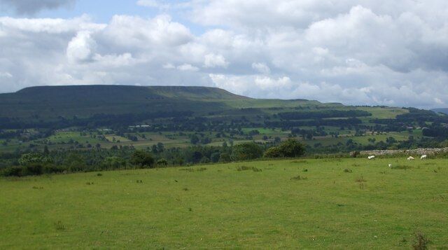 A green field with a hill in the background and scattered sheep.