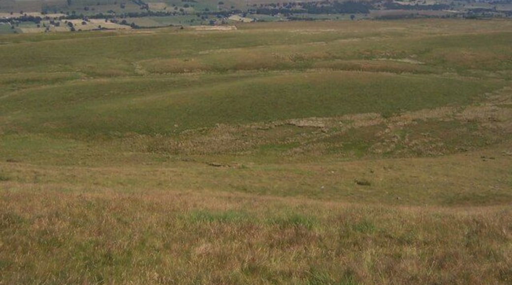 Thornton Rust Moor. Taken from the north eastern flank of Addlebrough this shows an almost featureless square of winderness