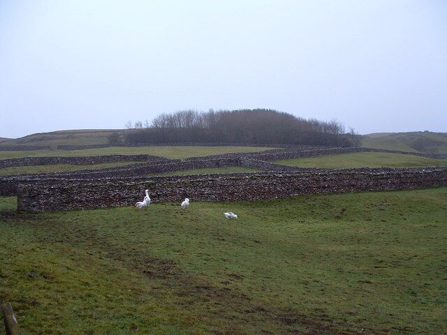 A stone wall, a grassy field, and a hill in the background.