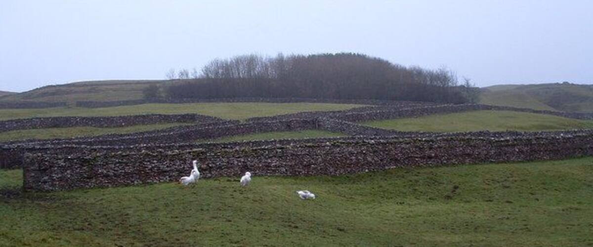 A stone wall, a grassy field, and a hill in the background.