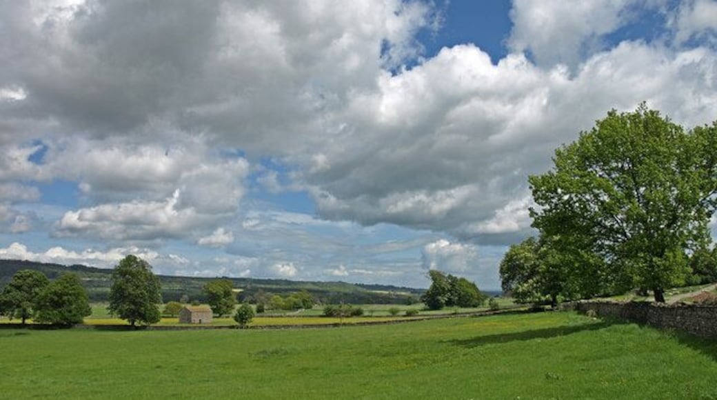 Countryside, Wensleydale. Taken near Swinithwaite.