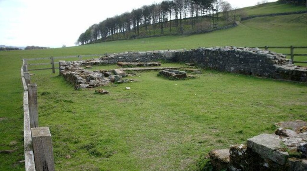 Penhill Preceptory Remains of walls and graves of a chapel in a preceptory* of the Knights Templar.Built C 1200. Dictionary def:- subordinate community of Knights Templars; estates or buildings of this. So now you know!