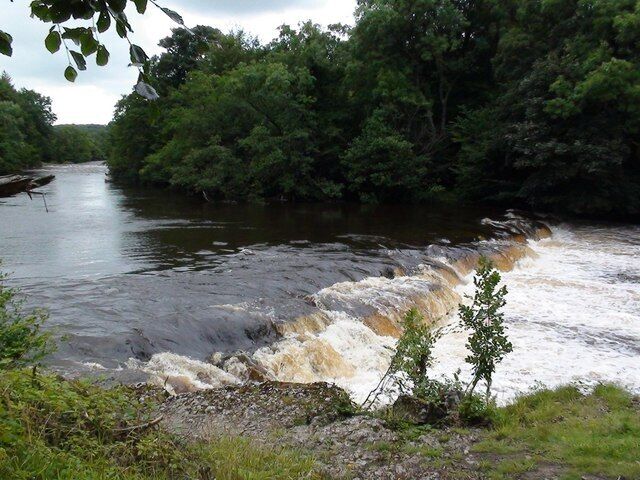 A river flowing through a forested area with a small waterfall.