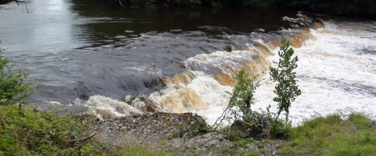 A river flowing through a forested area with a small waterfall.