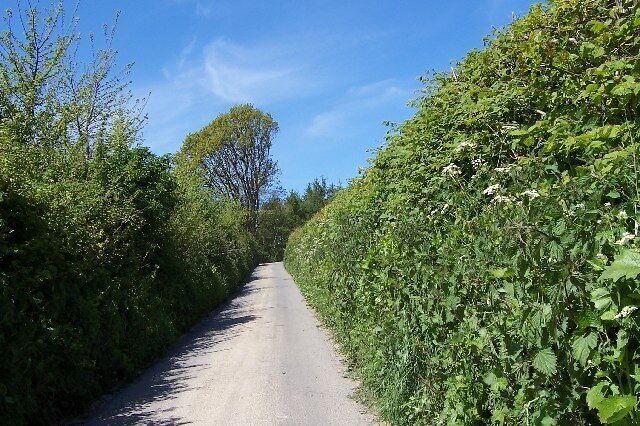 The road to Middlehope. ...in a place called Bache Mill, near Diddlebury. There's lots of lanes like this in Shropshire: single-track with hedges higher than the car. They're great!