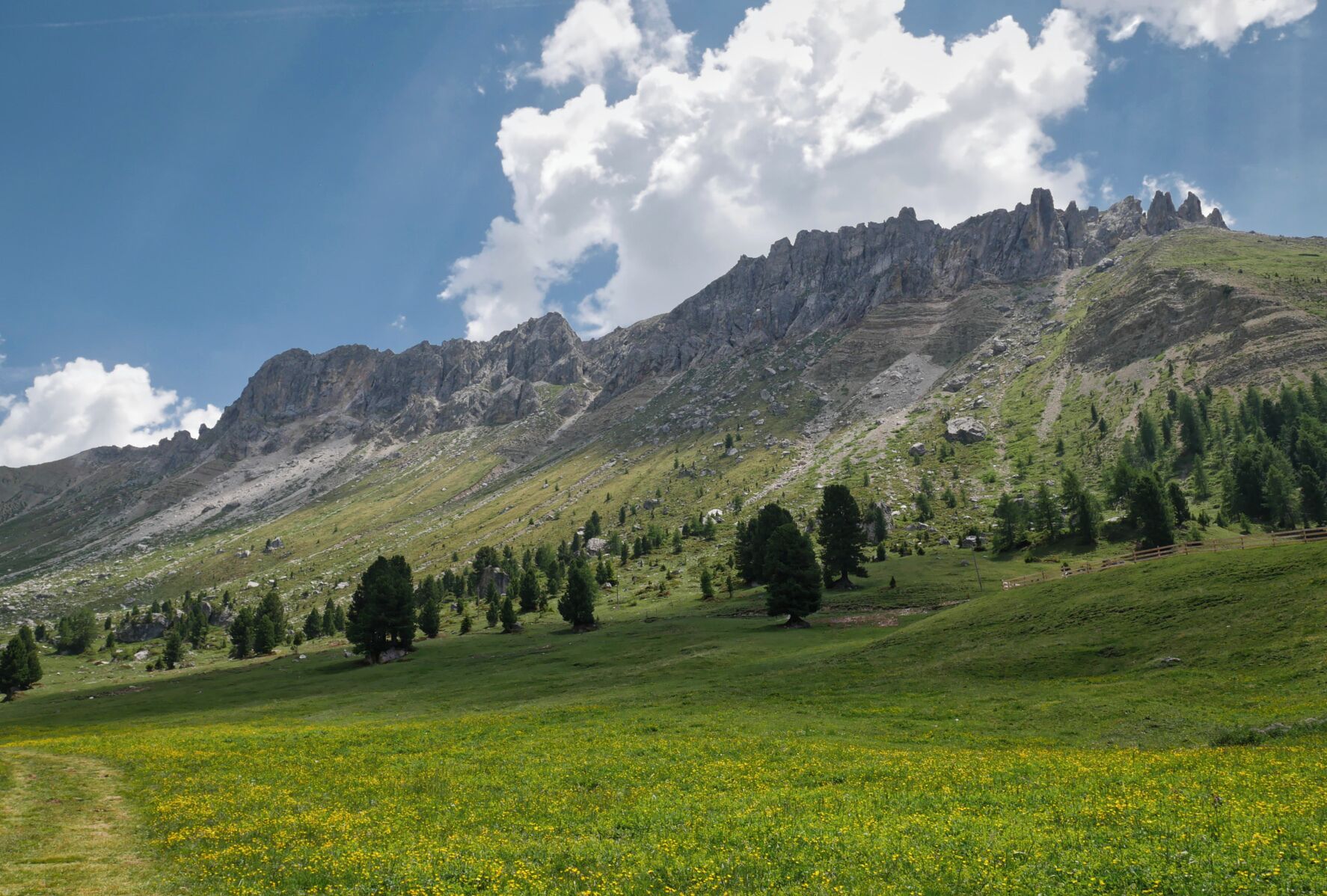 Route #33

This hiking route is a stretch of simple trail with very few steep terrain.

#takeAhike