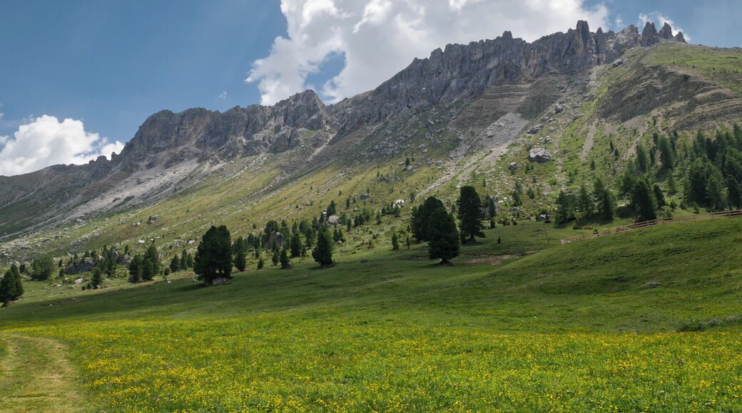 Route #33
This hiking route is a stretch of simple trail with very few steep terrain.
#takeAhike