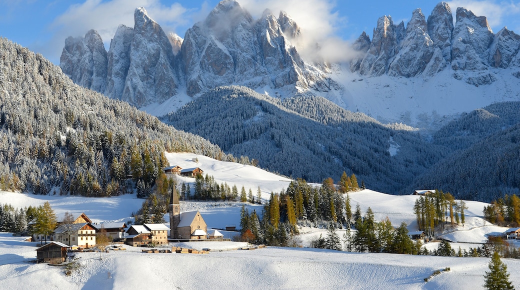 Funes