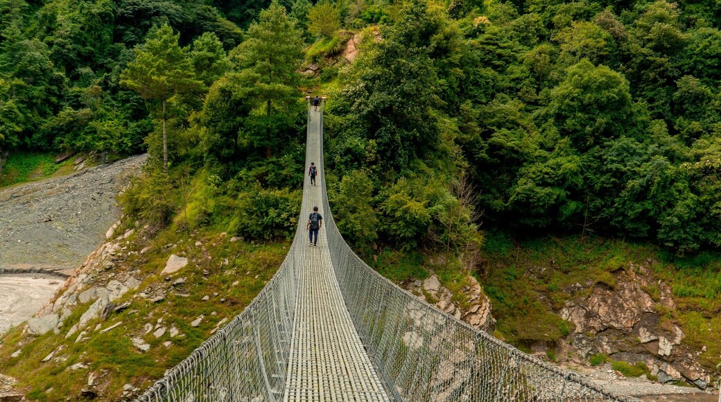 Vertical shot of a suspension bridge and dense forest on the background in Markhu, Makwanpur, Nepal