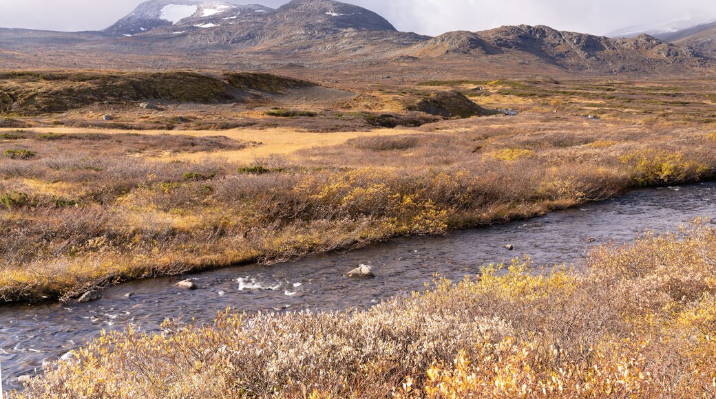 Typical landscape in Jotunheim National Park in Norway during autumn time in the Beitostølen area overlooking the Leirungsae River