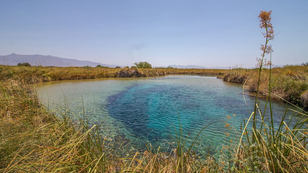 Poza azul en Cuatro ciénegas, Coahuila. Un oasis.