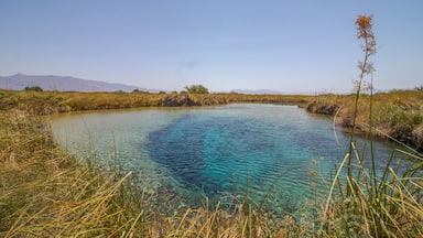 Un lago turquesa cristalino rodeado de orillas cubiertas de hierba y vegetación escasa.