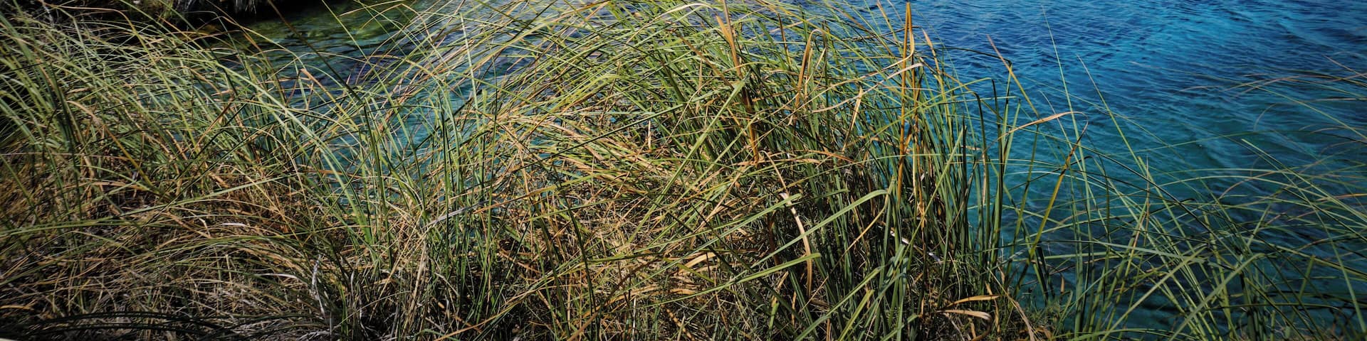 This location Northen Mexico is one of the most breathaking images I've ever seen. Cuatrociéngeas is a wetland special in the world, as has its own biosystem comparable with the Galapagos Islands, #nature.