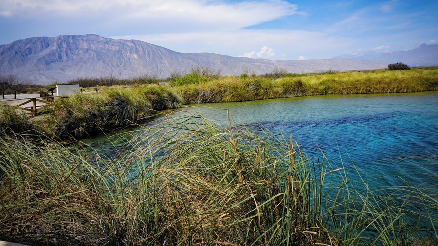 This location Northen Mexico is one of the most breathaking images I've ever seen. Cuatrociéngeas is a wetland special in the world, as has its own biosystem comparable with the Galapagos Islands, #nature.