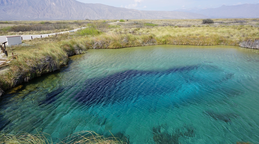 This exceptional little town, Cuatrociénegas, in Northern Mexico is one of the most beautiful gems of the country. With thousans of these oasis in the middle of the dessert and mountains landscape, it is also one of the few spots in Earth with white sand dunes.
