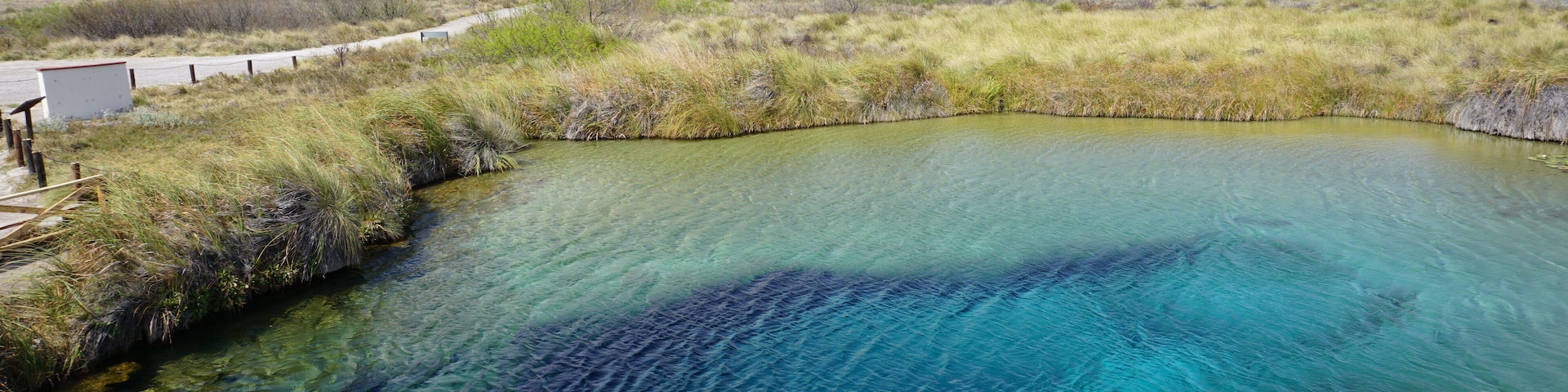 This exceptional little town, Cuatrociénegas, in Northern Mexico is one of the most beautiful gems of the country. With thousans of these oasis in the middle of the dessert and mountains landscape, it is also one of the few spots in Earth with white sand dunes.
