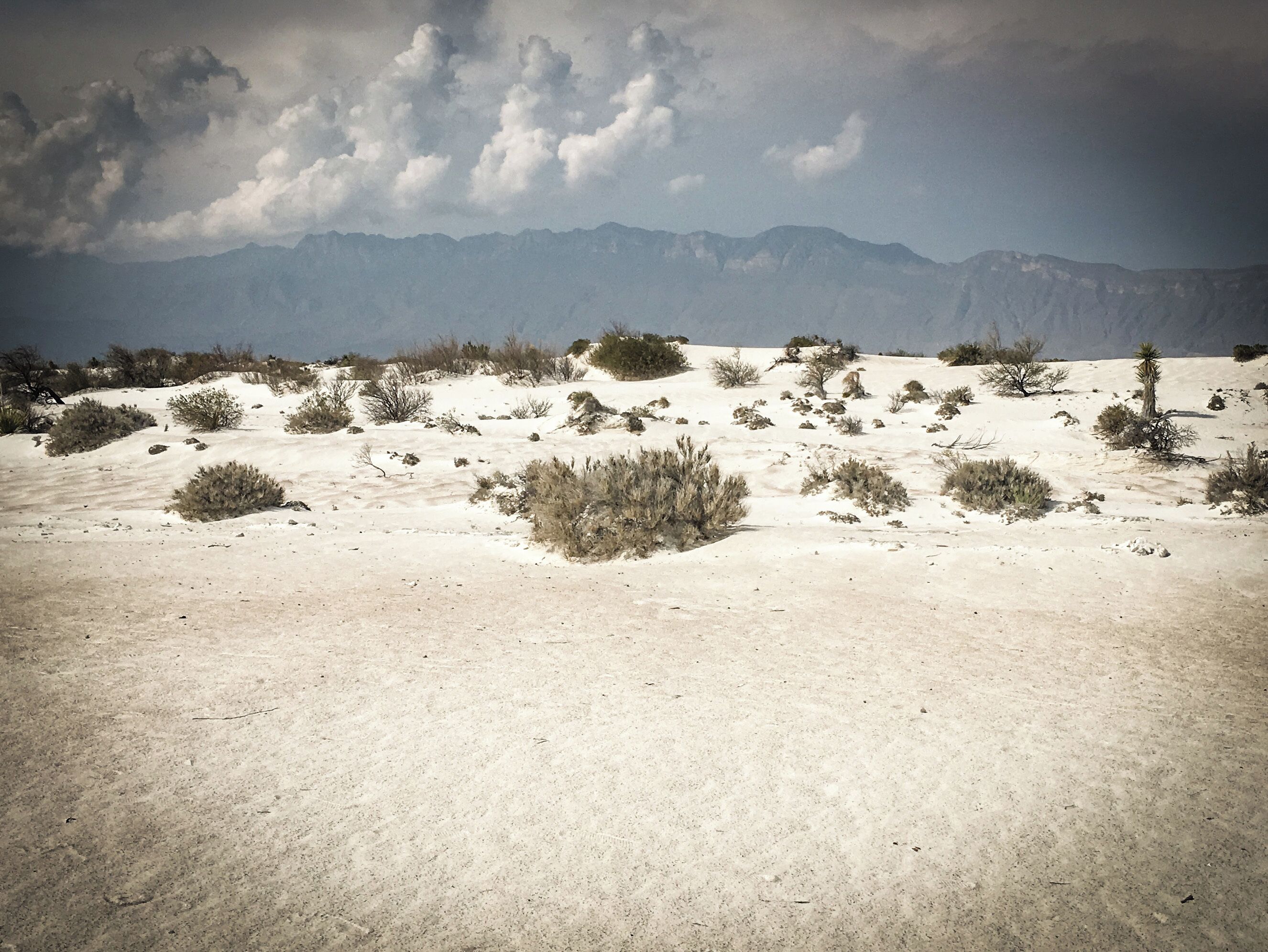This landscape looks more like a strange planet than Earth. These marble dunes is one of the most extensive one in the Planet, located in Northen Mexico, It sure pictures how amazing are the #GreatOutdoors.