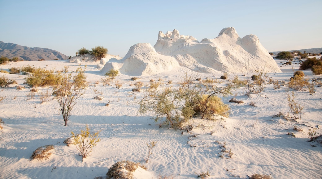 Dunas de Yeso de cuatro ciénagas Coahuila Mexico