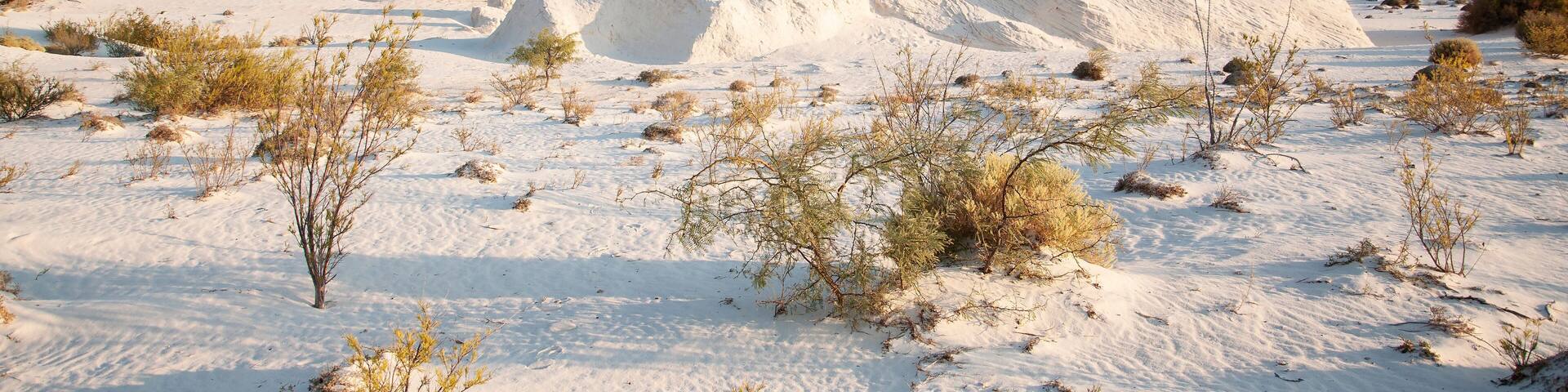 Dunas de Yeso de cuatro ciénagas Coahuila Mexico
