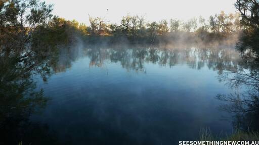 Dalhousie Springs is literally an oasis in the desert! Located in Northern South Australia in Witjira National Park this fabulous hot spring swimming pool is an experience all on its own and well worth the drive just to swim in a hot spring that is surrounded by semi-arid plains with sparse vegetation.