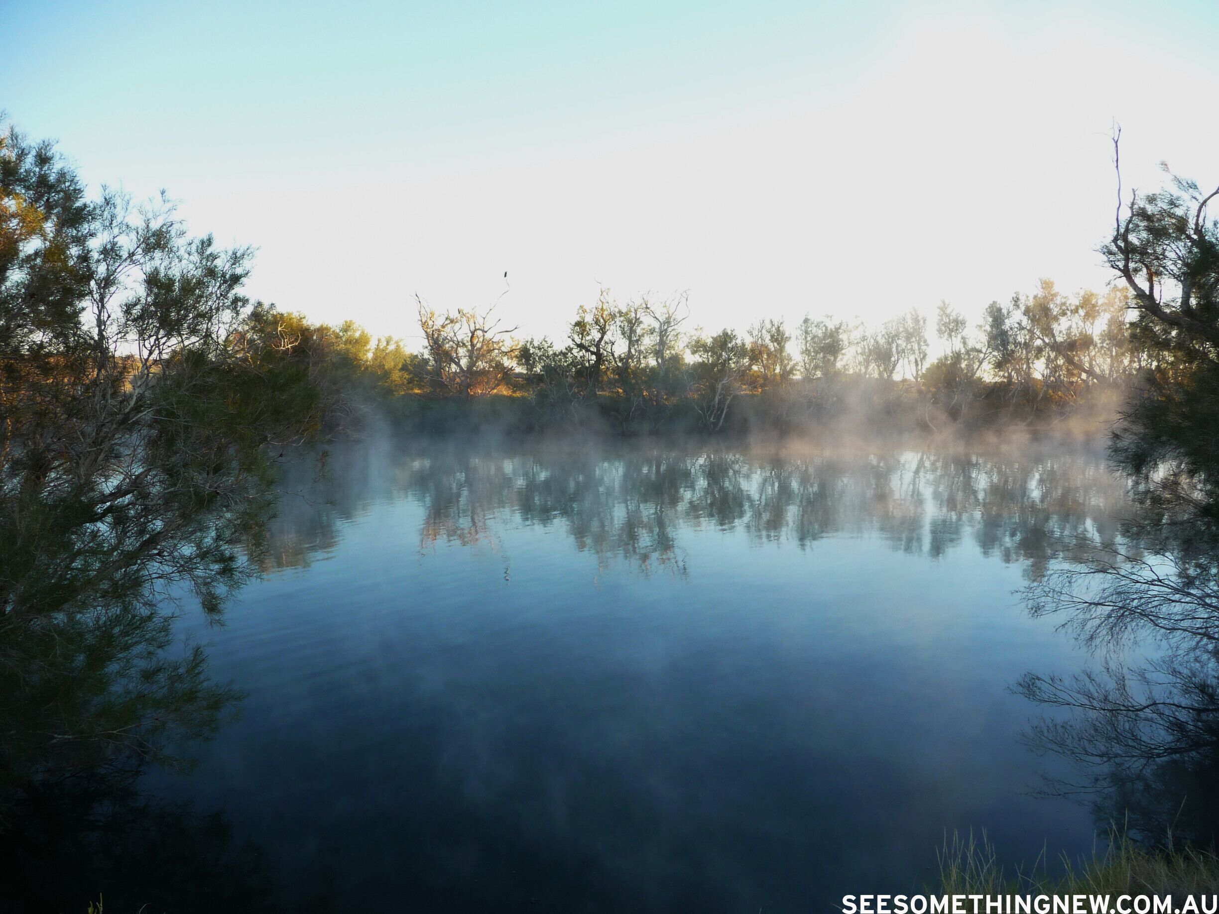 A calm lake with reflections of trees and a clear sky.
