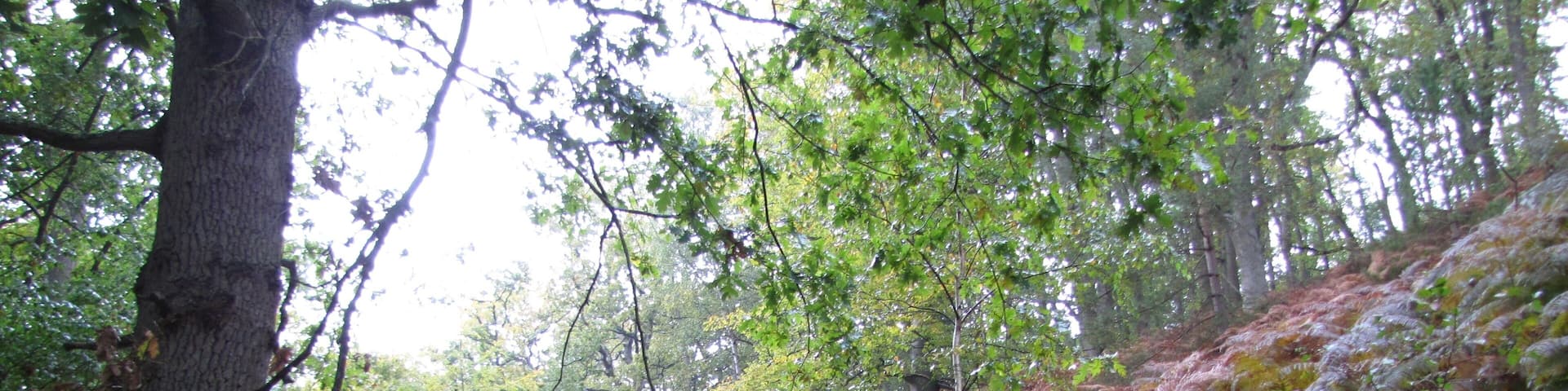 78720 Senlisse, France