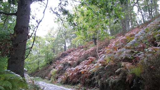 78720 Senlisse, France