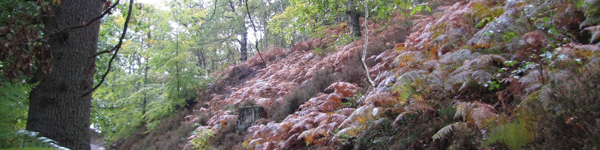 78720 Senlisse, France