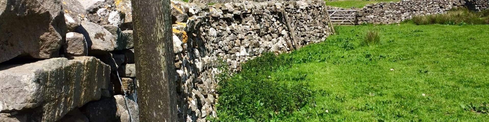A stone wall with a wooden signpost reading "BW MUKER" pointing to the right.
