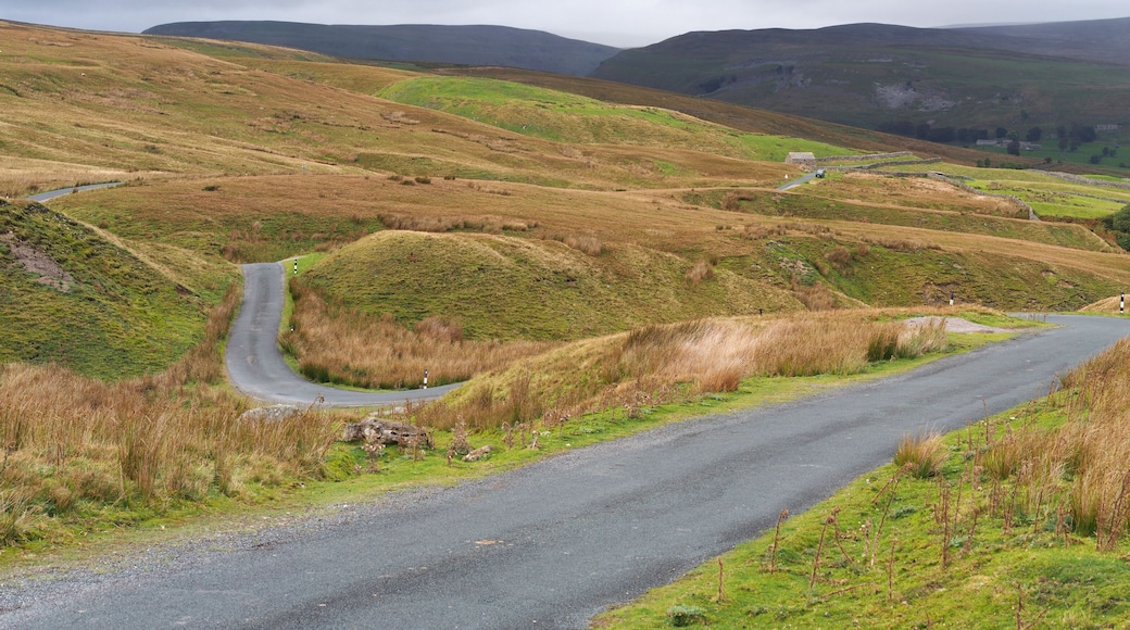 Country road in the Yorkshire Dales linking upper Swaledale to Askrigg, Wensleydale