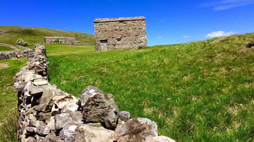 Swaledale is dotted with field barns, which were traditionally used to store hay after it had been cut.
