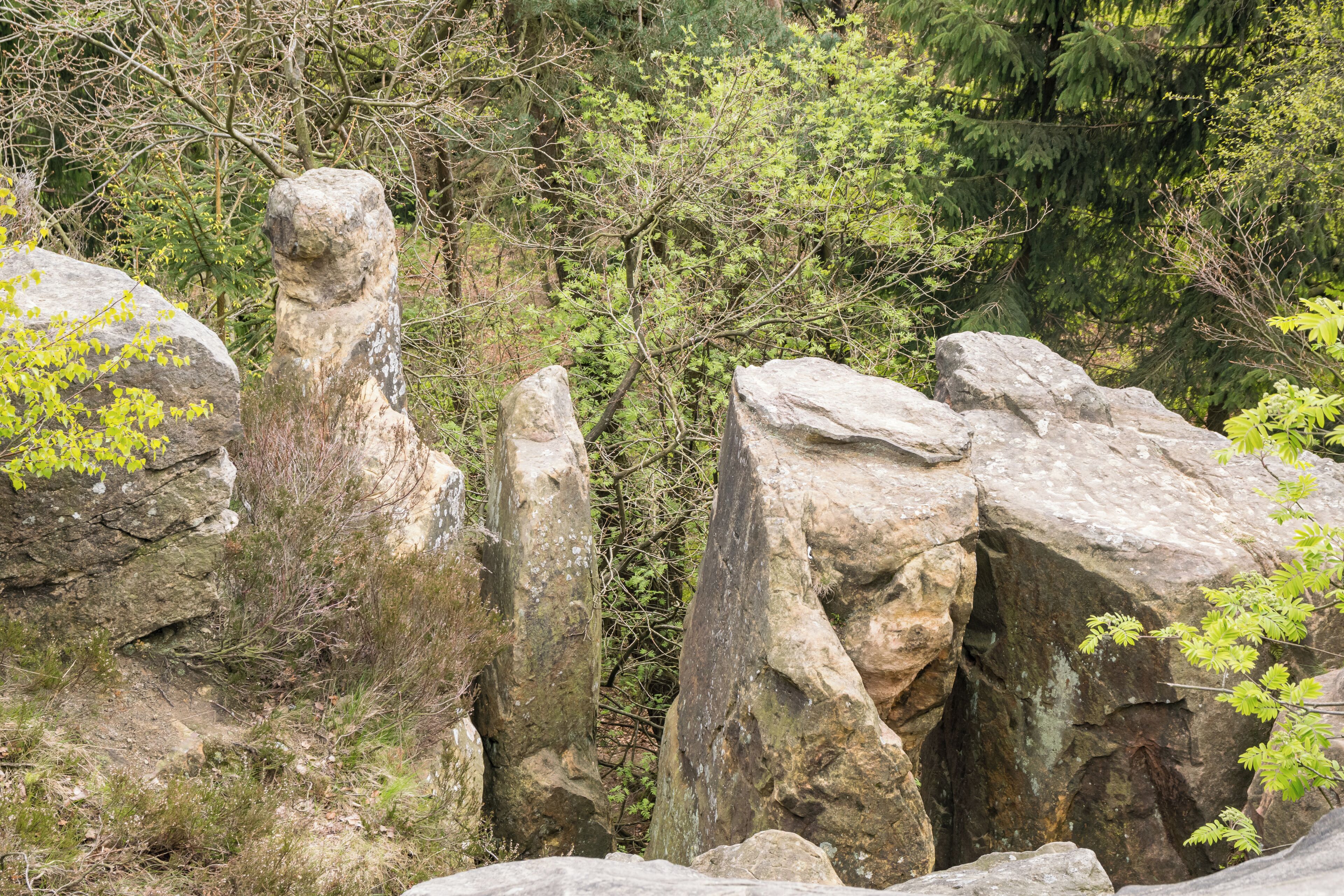 Die Lippische Velmerstot im Eggegebirge.