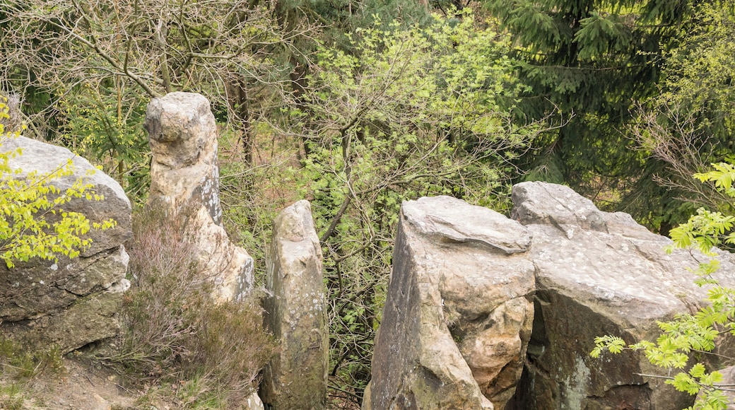Die Lippische Velmerstot im Eggegebirge.