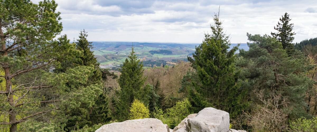A mountainous landscape with large boulders, dense coniferous trees, and a distant view of rolling hills and a body of water.