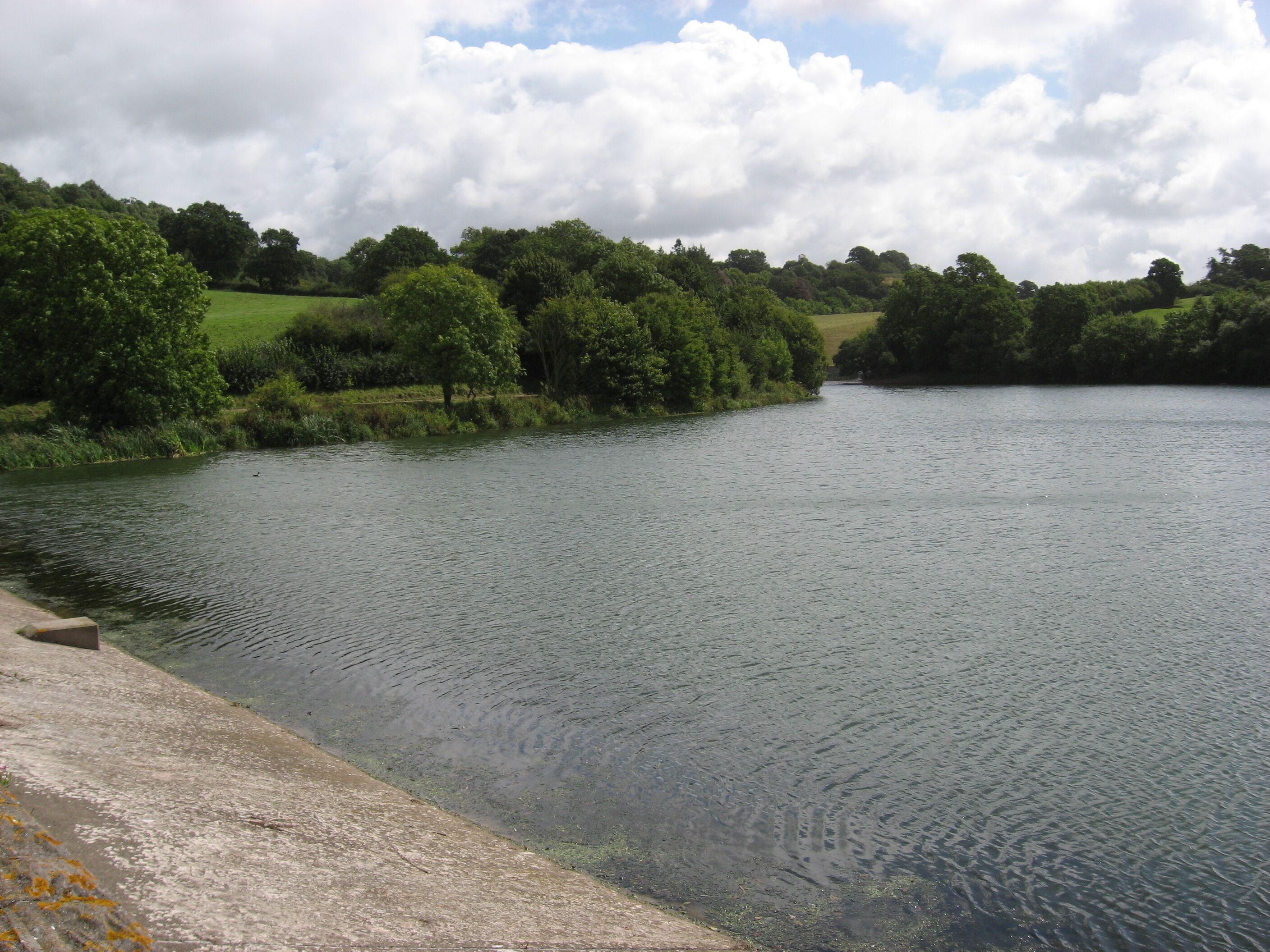 A calm river with a concrete embankment on the left and lush greenery on the banks.
