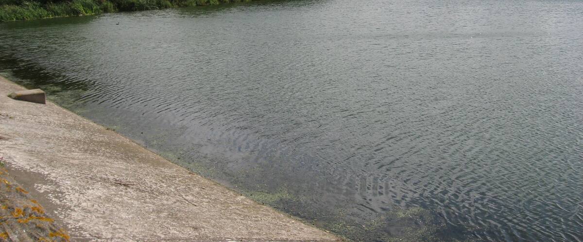 A calm river with a concrete embankment on the left and lush greenery on the banks.
