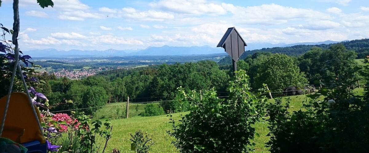 A rural landscape with a view of a town in the distance, surrounded by green fields and mountains.