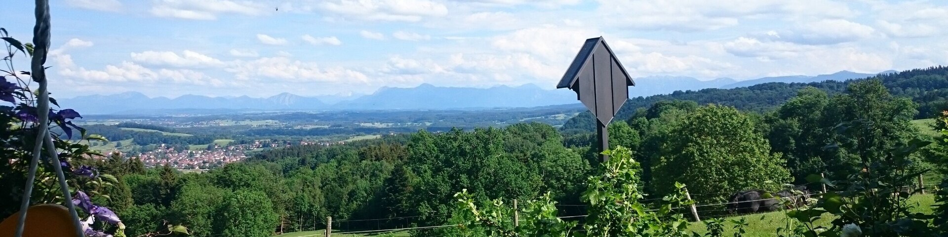 A rural landscape with a view of a town in the distance, surrounded by green fields and mountains.