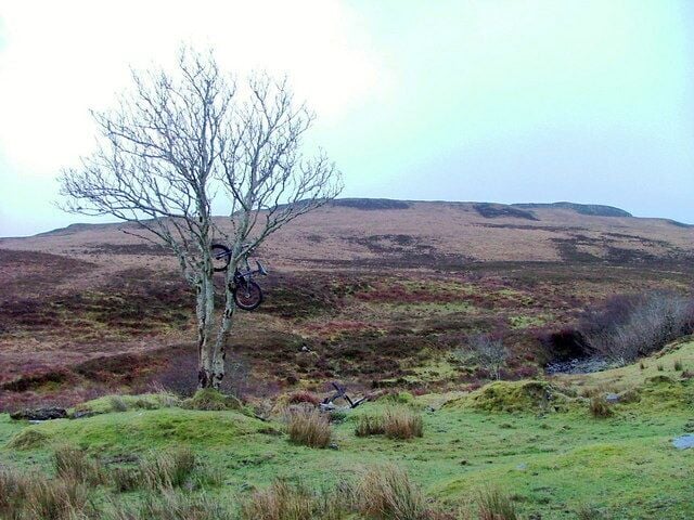 Bike up a Tree I know that we get high winds on Skye and that after a storm, odd things appear in odd places. But this?