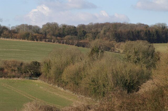 Nan Trodd's Hill. A telephoto view of this inaccessible spot from the south, at Bunstead Lane above the quarry at Shawlands Farm
