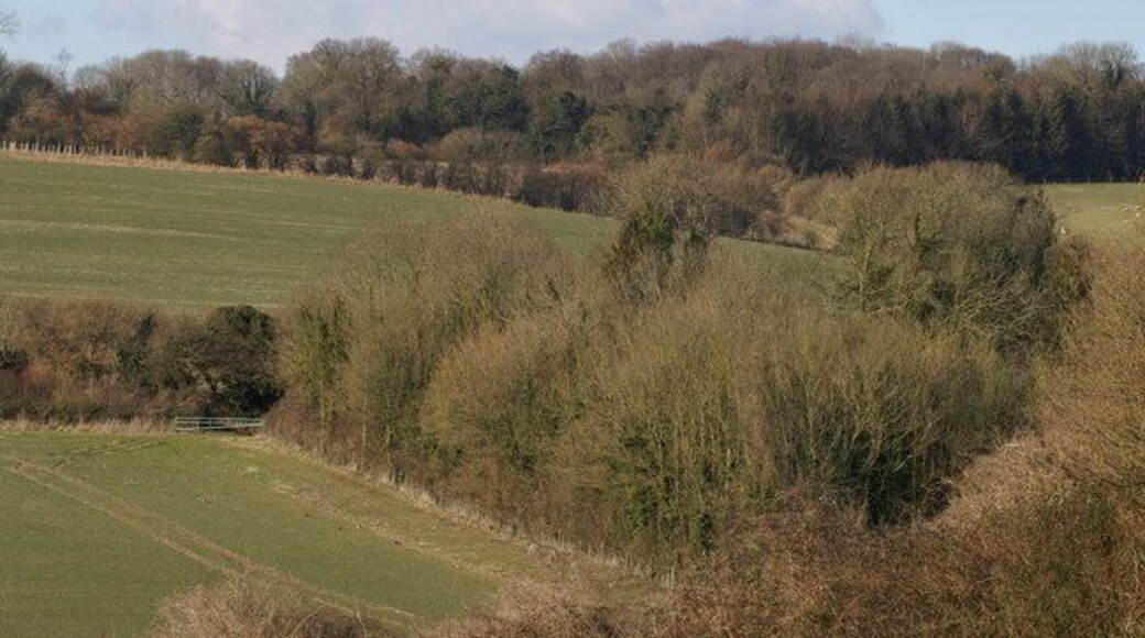 Nan Trodd's Hill. A telephoto view of this inaccessible spot from the south, at Bunstead Lane above the quarry at Shawlands Farm