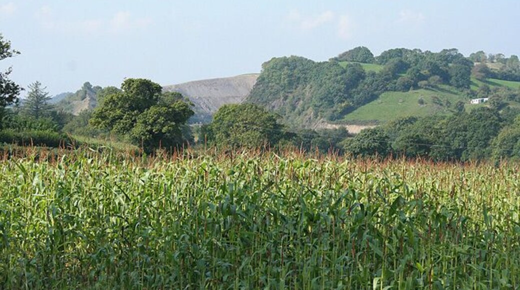 Landkey: towards Venn Quarry Quarrying was a local activity for centuries. Venn underwent major development from 1936 but the quarry seen ahead is now closed. A neighbouring site was opened in 2002 but has been shut down since autumn 2006