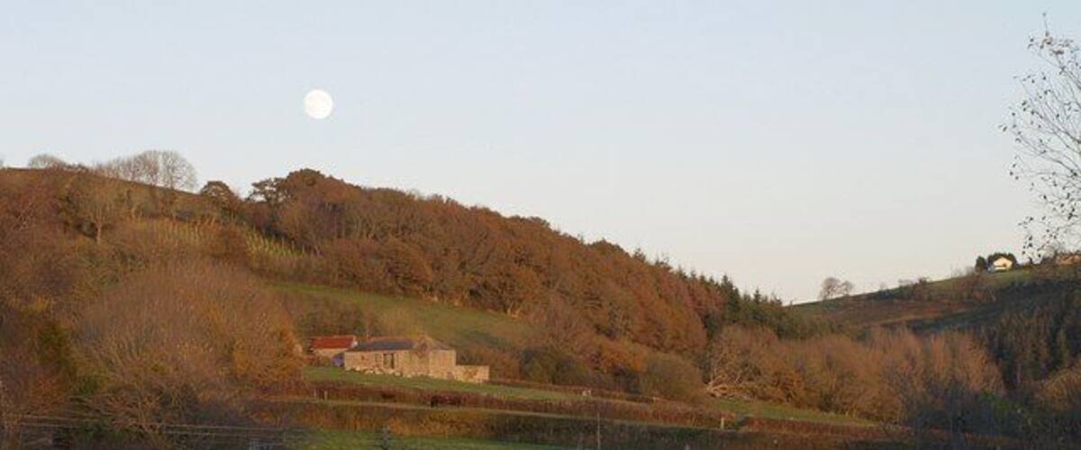 A rural landscape with a house on a hill, a field, and a body of water.